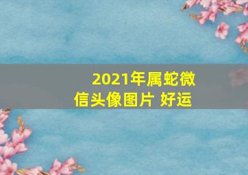 2021年属蛇微信头像图片 好运